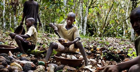 Boycottez le chocolat des enfants esclaves Boycottez le chocolat des enfants esclaves