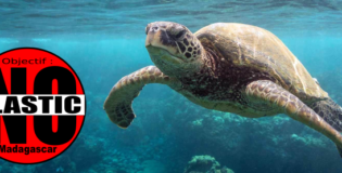 CAMPAGNE NO PLASTIC