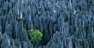 Le labyrinthe secret de Namoroka
