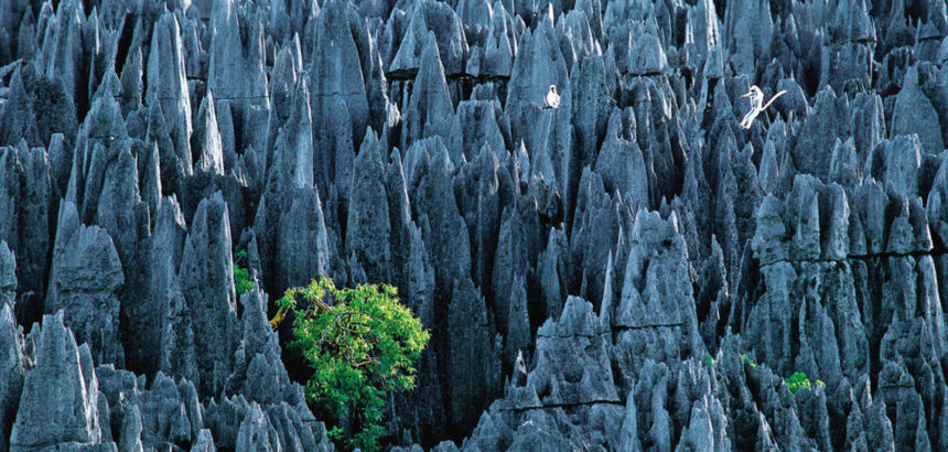 Le labyrinthe secret de Namoroka