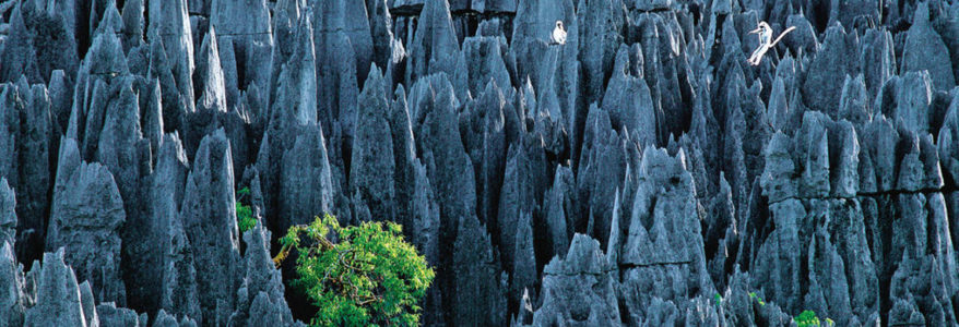 Le labyrinthe secret de Namoroka Le labyrinthe secret de Namoroka