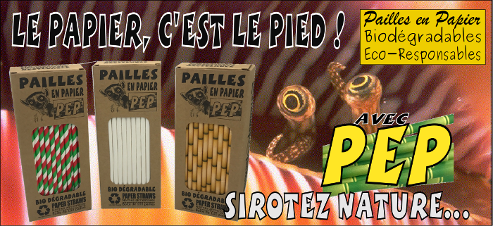 Les pailles en papier, c